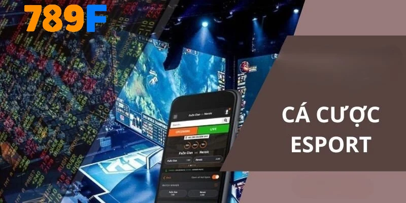 Các giải đấu Esport hấp dẫn tại 789F