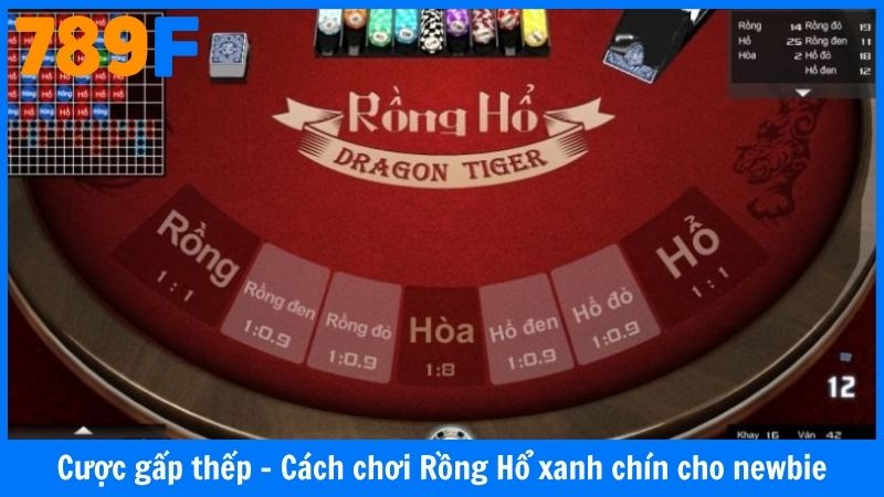 Cược gấp thếp - Cách chơi Rồng Hổ xanh chín cho newbie